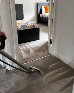 Carpet Cleaning Services in NYC