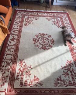 Rug Cleaning Services in NYC